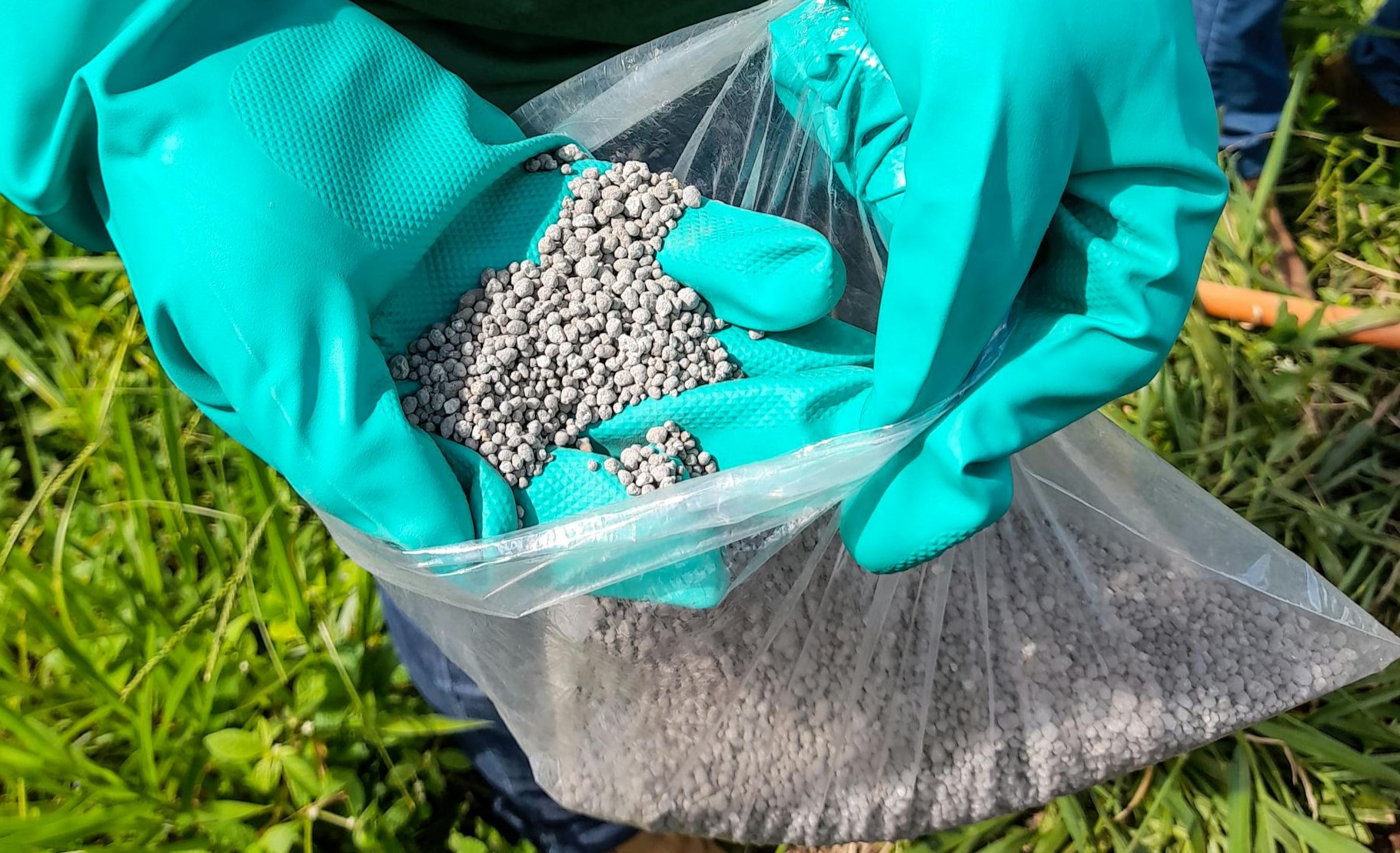 Organic Fertilizer